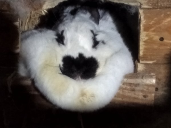 IMG 20250122 171944