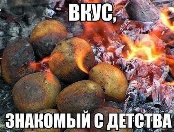 L3vfzU2Vyck