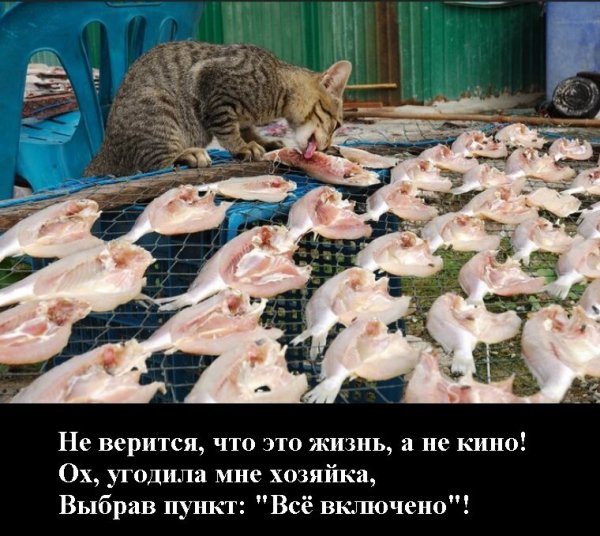 Всё включено