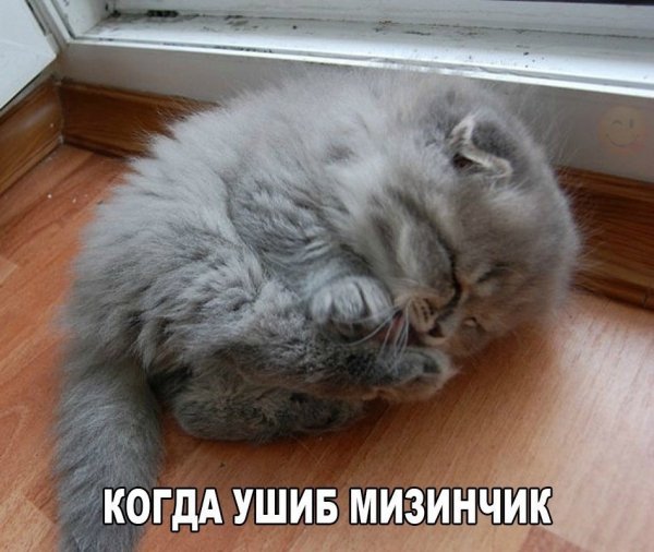 kRgvK2B3AV0