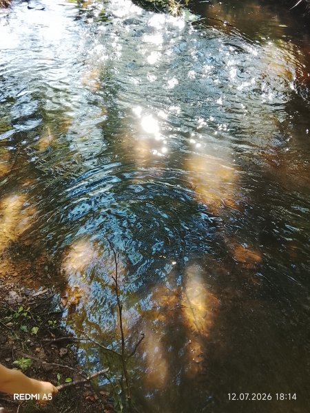 picture_419013277