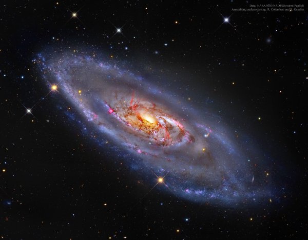m106 colombari 3568
