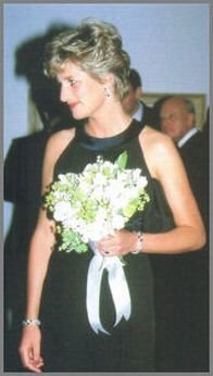 picture_356197242
