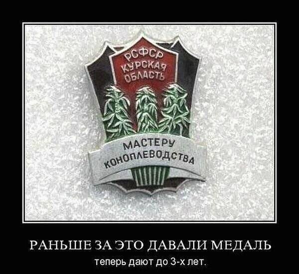 IMG 20260310 030226