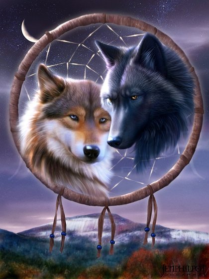 Volf pic 12