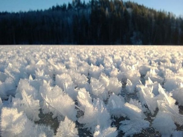 picture_333111291