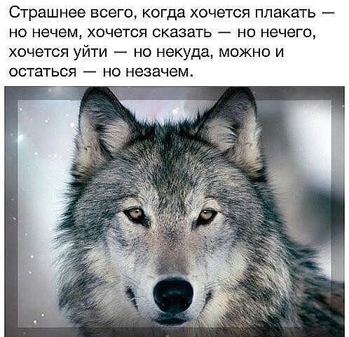 IMG 20150612 105234 19