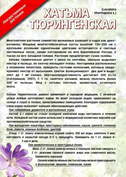 Лекарственные растения