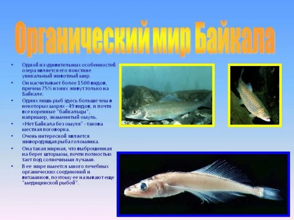 Байкал
