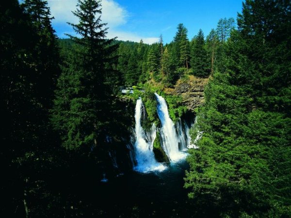 The Sounds Of Nature - Ночная