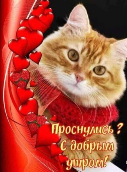 Проснулись