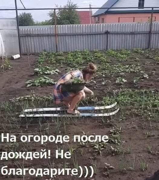 FB IMG 1777018612839