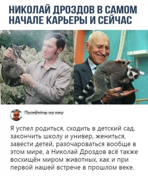 file_103368106