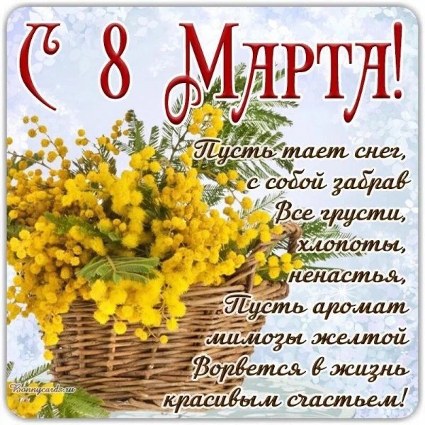 IMG 20260308 133639