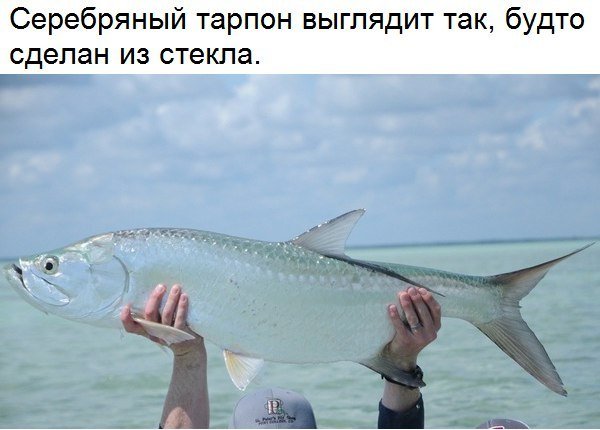 file_67208526