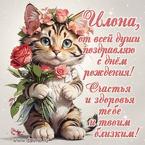 ИЛОНА С ДНЁМ РОЖДЕНИЯ