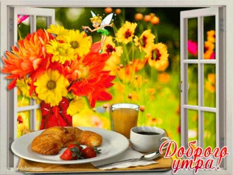 IMG 20181015 191646 784
