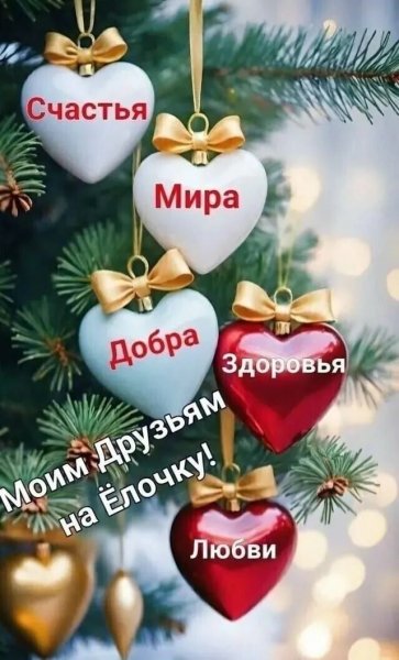 IMG 20260106 035558