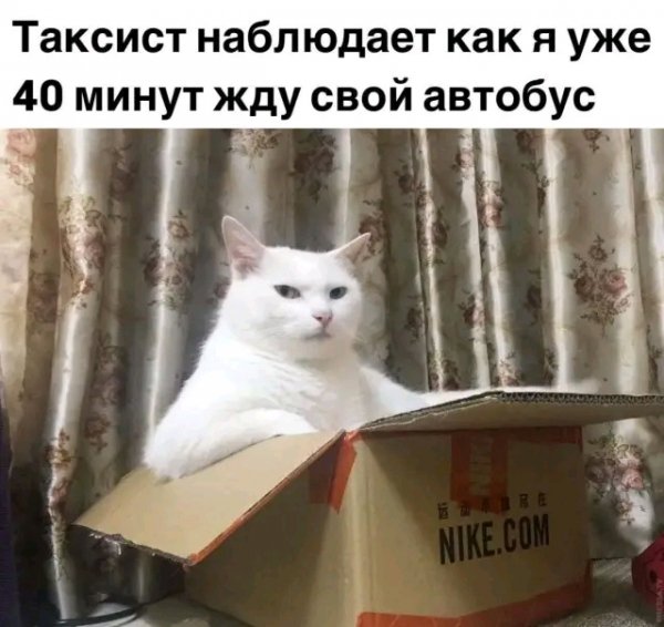file_103505423