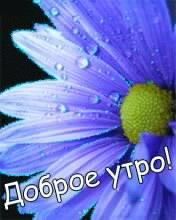 Доброе утро.5с.