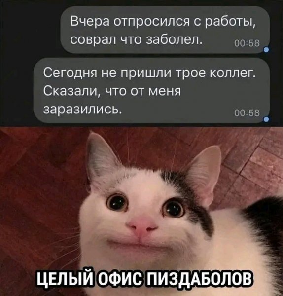 file_103442054