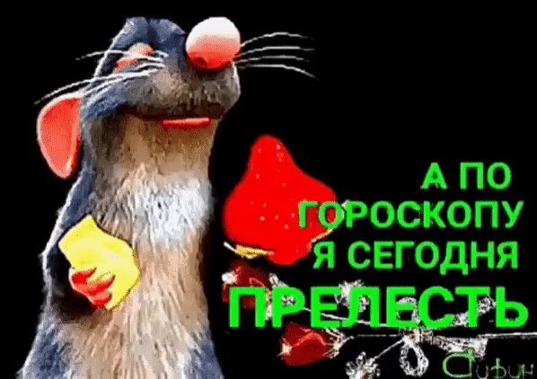 file_73927695