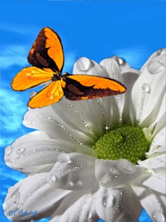 file_47450623