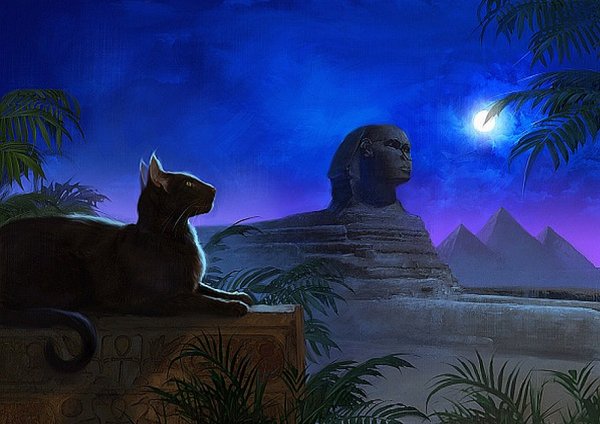 Кошки пришли с Сириуса