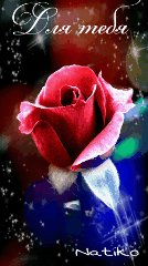 tmp IMG 0066-1522672862