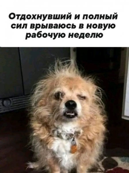file_103504054