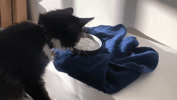 gifs 06