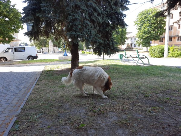 file_82208459