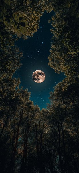 file_99407863