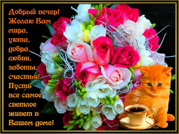 IMG 20181016 175328 984