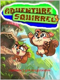Adventure Squirrel