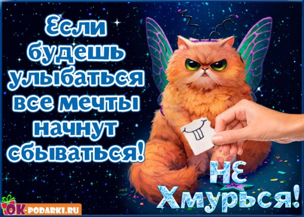 IMG 20181026 001623