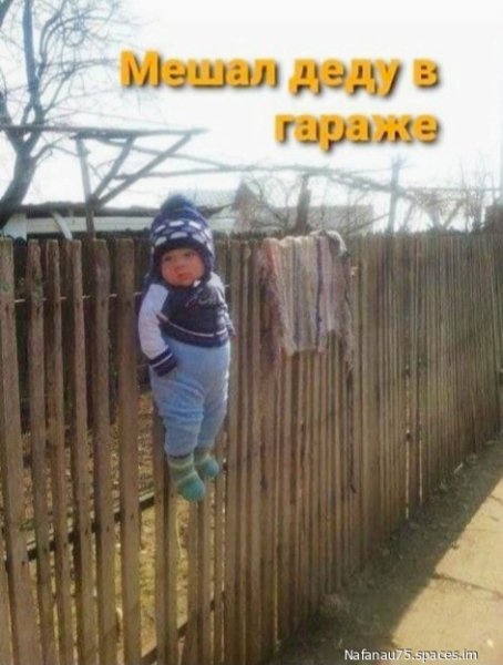 YS2OncfTkP4-