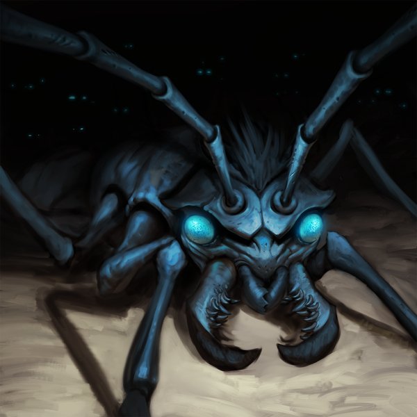 Storm Ants Column