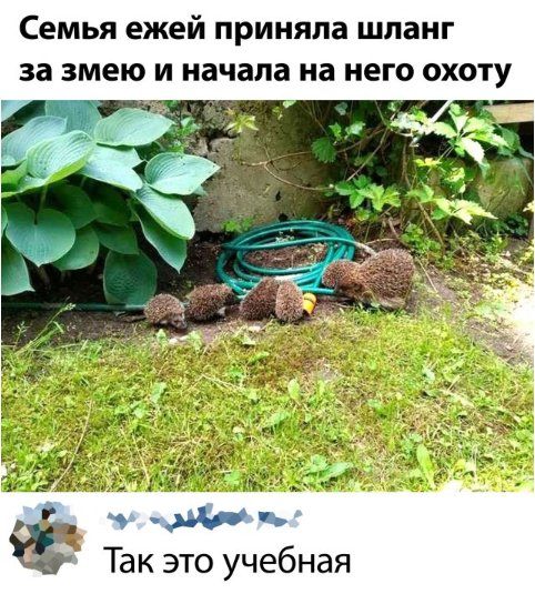 file_82155690