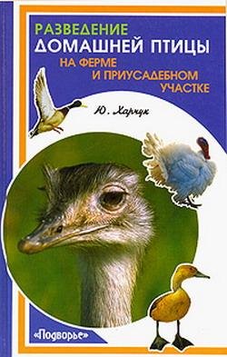 Разведение домашней птицы на ферме и при