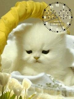 CAT CLOCK