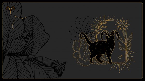 ARIES