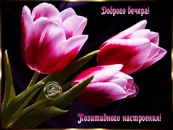 file_72764594