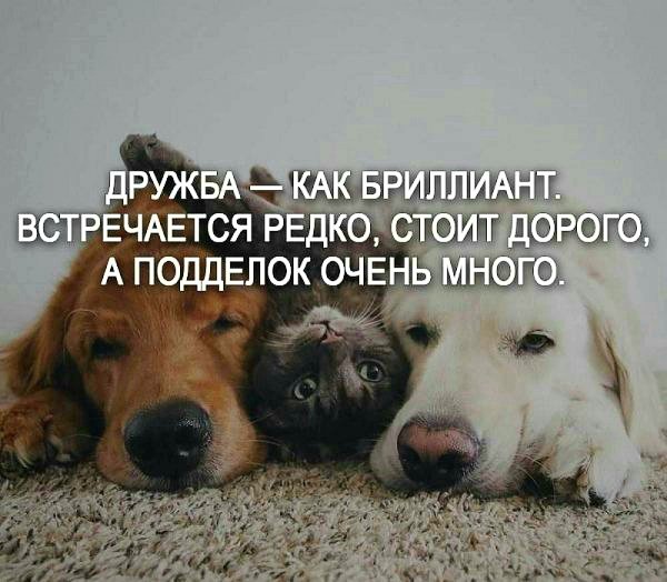 file_100656466