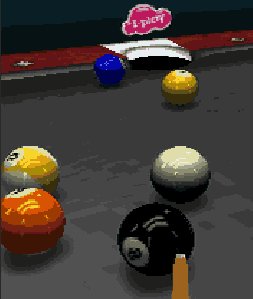 3D World championshiр РООL 2010 176x208