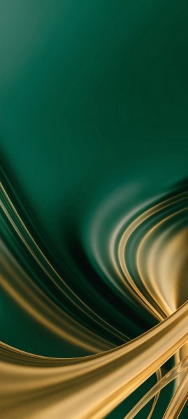 adapted 1080x2408 1790596133