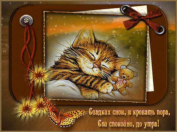 Сладких снов