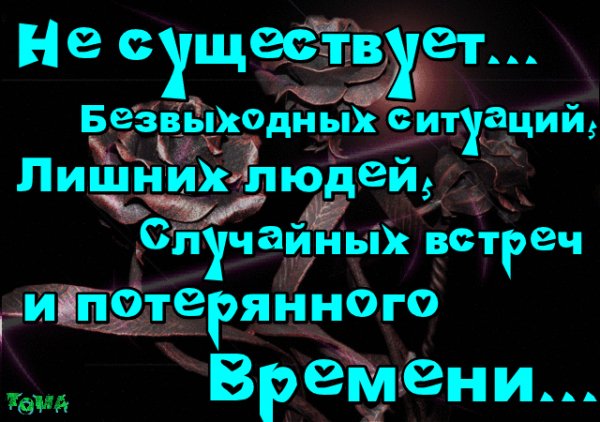 IMG 20170109 144556 2