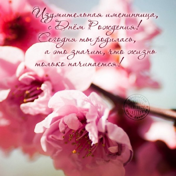 Изумительная именинница, с днём рождения!
