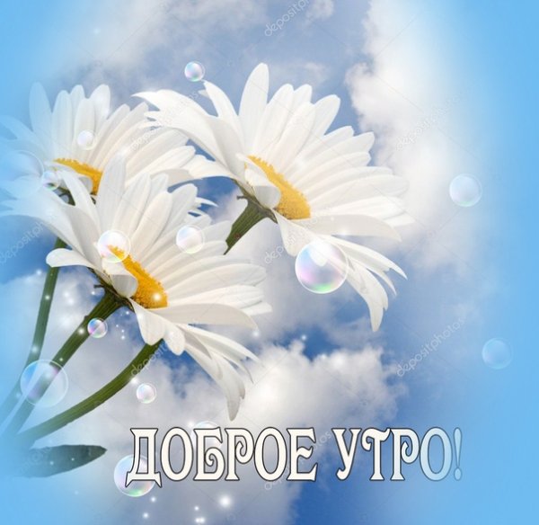 XJIHhe6g5JM